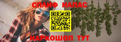 кокс Нальчик