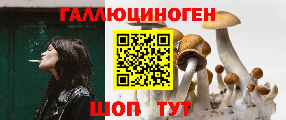 Туапсе  Псилоцибиновые грибы Psilocybine cubensis  Вход с VPN  Галлюциногенные грибы прущие грибы 