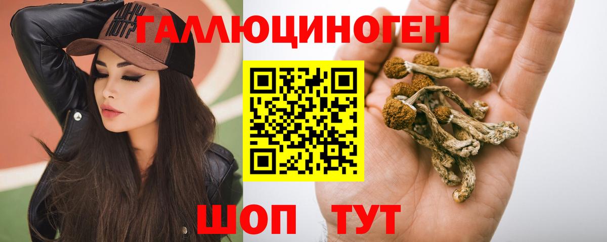 Галлюциногенные грибы Psilocybe Туапсе